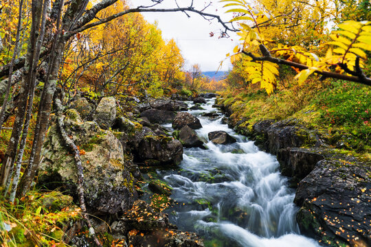 Beautiful autumn colors around this little stream and waterfall coming from the Finnsætervatnet lake, Troms og Finnmark, Norway