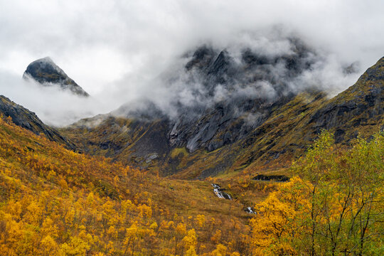 Clouds covering Stormoa mountain and Botntinden mounten, in the foreground trees in their autumnal colors  in Troms og Finnmark, Norway