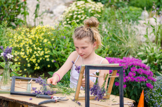 beautiful blond girl in floral garden creating and decorating wooden frames with purple lavender flowers