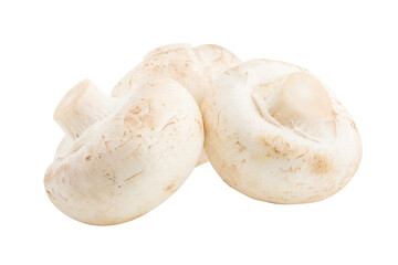 mushroom, champignon, isolated on white background, full depth of field