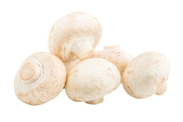 mushroom, champignon, isolated on white background, full depth of field