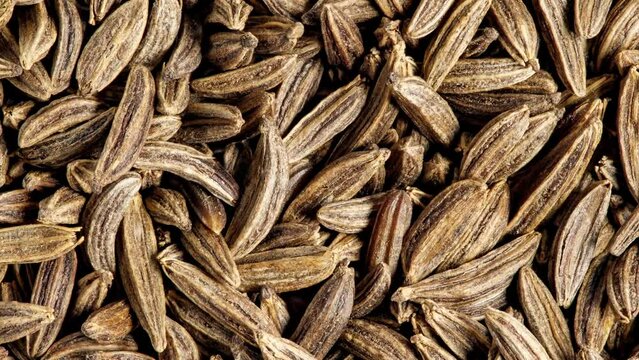Cumin grains, small seed, rotating, turning, close-up macro, top view

