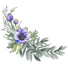 Fototapeta na wymiar Purple anemone flowers bouquet. Watercolor illustration isolated on white background.