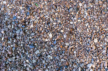Small pebbles of different shapes and colors