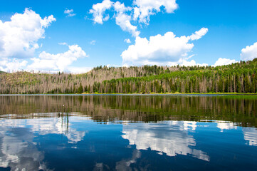 Fototapeta premium lake and forest