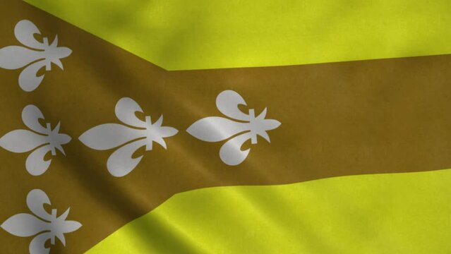 Dorado flag, city of Puerto Rico, waving in wind. Realistic flag background