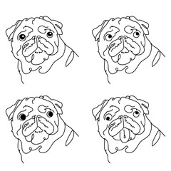 four expressive pug faces,  line art