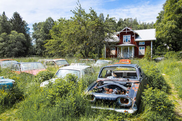 Lost place with forgotten wooden house and classic car wrecks around overgrown with plants