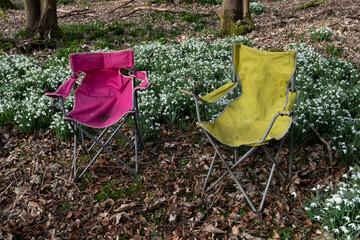 Seats in the forest clearing