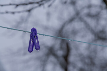 Close-up view of single plastic violet clothespin hanging on clothes line in rainy day. Blurred bare tree branches and overcast sky inthe background. Copy space for your text. Soft focus.