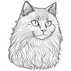 Hand-drawn vector illustration of a cat. Sketch-style cat.  Animal portrait. Concept black and white color.