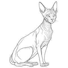 Hand-drawn vector illustration of a cat. Sketch-style cat.  Animal portrait. Concept black and white color.