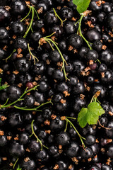 Raw black currant