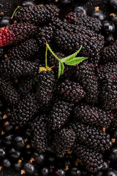 Raw blackberries and currants