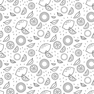 Seamless pattern with citrus fruit in hand drawn graphic style.