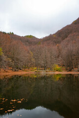 Laghetto Cavone, Appennini tosco-emiliani, città metropolitana di Bologna, Emilia Romagna