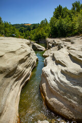 Riva del fiume Savena, comune di Pianoro, città metropolitana di Bologna, Emilia Romagna