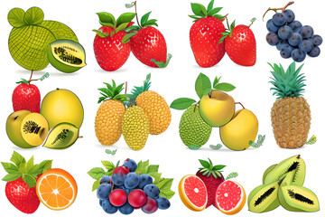 A set of exotic fruits and berries (strawberry, grape, orange, pineapple, grapefruit) with green
leaves isolated on a white background.
Generative AI.