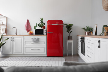 Interior of modern kitchen with stylish refrigerator