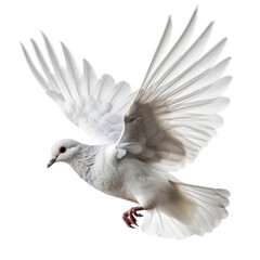 white dove in flight isolated over a transparent background, symbol of peace or christian symbol cut-out design element, generative AI - 600570157