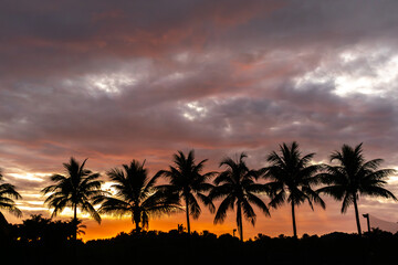 Obraz premium Line silhouettes of palm trees with reflection in lake at orange sunset time, vintage tone.