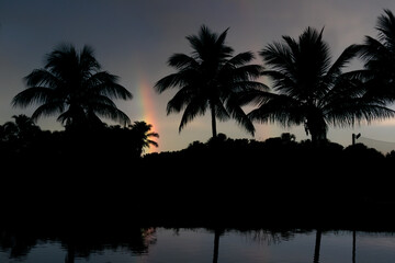 Obraz premium Sunset line silhouettes of palm trees with small rainbow