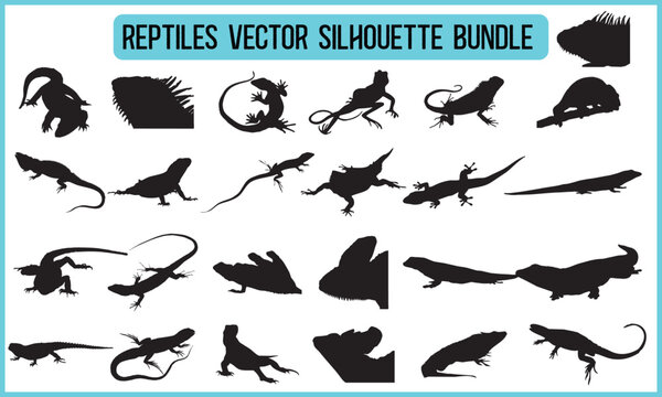 reptiles vector silhouette bundle - SVG, frog t shirt design, Hand drawn lettering phrases, Calligraphy graphic design, templet, SVG Files for Cutting Cricut and Silhouette