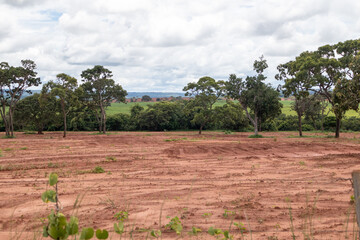 initial development of land for soybean cultivation