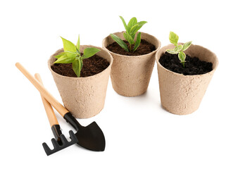 Peat pots with green seedlings, shovel and rake on white background