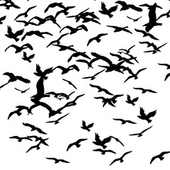 black bird pattern and background texture design