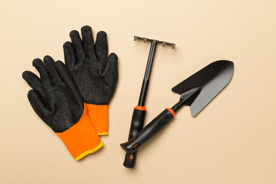 Gardening tools on color background, top view
