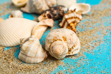 Sand and shells on blue background