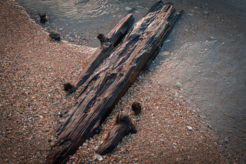 William Sumner Shipwreck on Topsail Beach