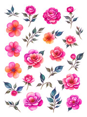 botanical flower watercolor elements. generative ai.