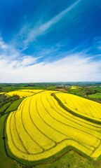 Rapeseed fields and farms from a drone, Devon, England