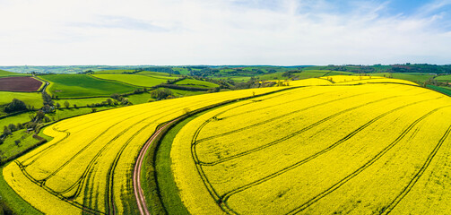 Rapeseed fields and farms from a drone, Devon, England