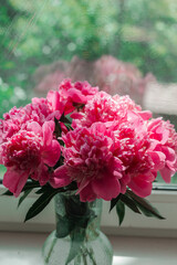 Pink peonies in glass vase on a green blur natural garden background with space for text