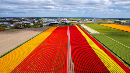 The colorful red with Tulip barn on sky view 