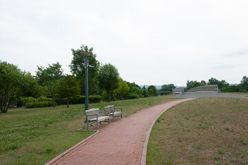 Obraz premium ベンチがある初夏の公園 