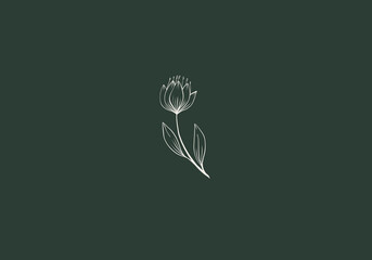 Logo Line Flower Leaf Garden and Botanical. Aesthetic and feminine, simple line and luxury modern. editable color.