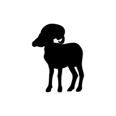 North American Bighorn Sheep icon in black fill silhouette mode. Top choice of animal vector illustration in trendy style. Editable graphic resources for many purposes.