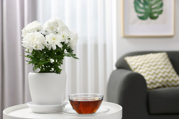 Beautiful chrysanthemum plant in flower pot and cup of tea on white table in room, space for text