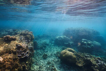 Naklejka na ściany i meble underwater landscape blue sea stones fish and waves
