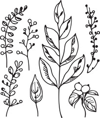 Great hand drawn line forest flora vector