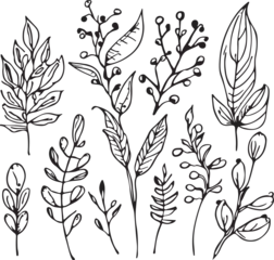 Foto op Aluminium Aquarel natuur set Extraordinary hand drawn line forest flora vector