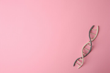 Plasticine model of DNA molecular chain on pink background, top view. Space for text