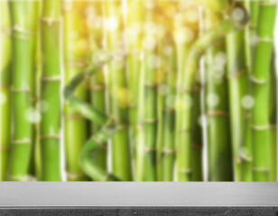 Obraz premium Empty grey surface against blurred green bamboo stems. Space for design