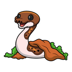 Cute pied reticulated python cartoon out from hole
