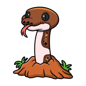 Cute pied reticulated python cartoon out from hole