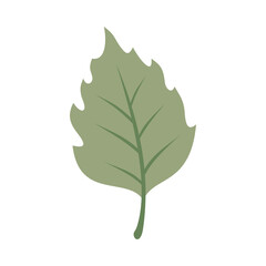 Leaf Flat Illustration